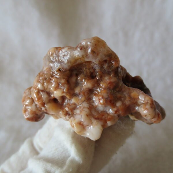 multi color gobi flower agate raw stone natural botryoidal desert agate specimen (k87) (copy)