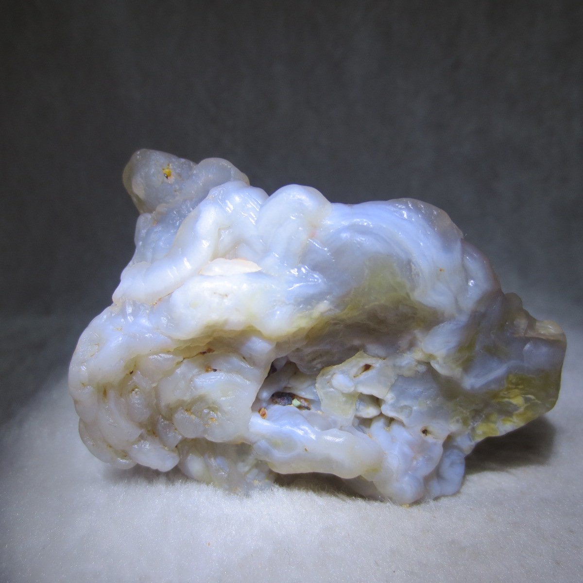 natural flower gobi agate raw desert rock mineral specimen (h22)
