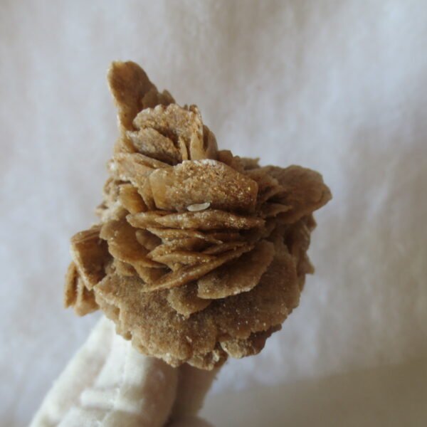 natural desert rose gobi agate raw stone mineral home decor. (i13） (copy)