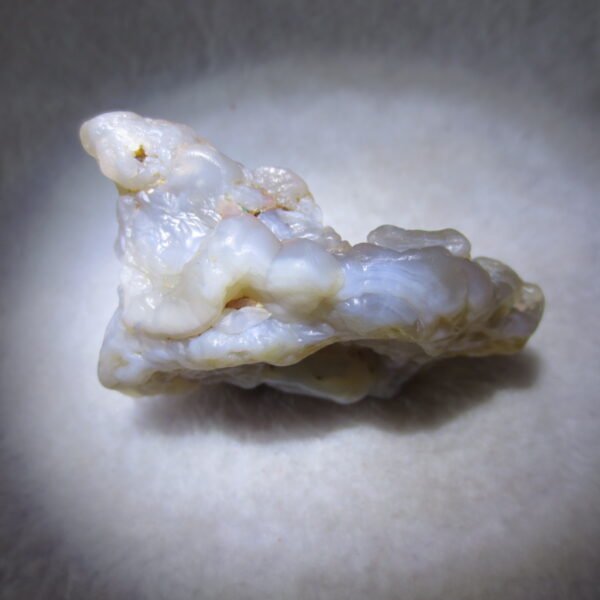 natural flower gobi agate raw desert rock mineral specimen (h22)