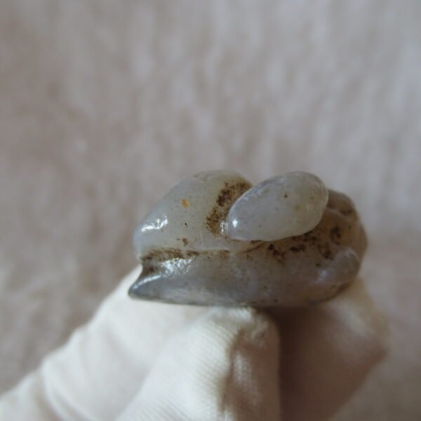 natural thumb eye gobi agate desert raw stone mineral (f46)