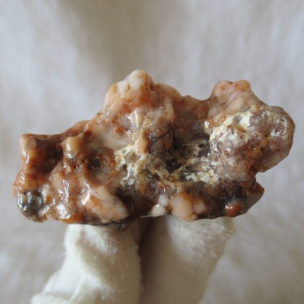 multi color gobi flower agate raw stone natural botryoidal desert agate specimen (k88)