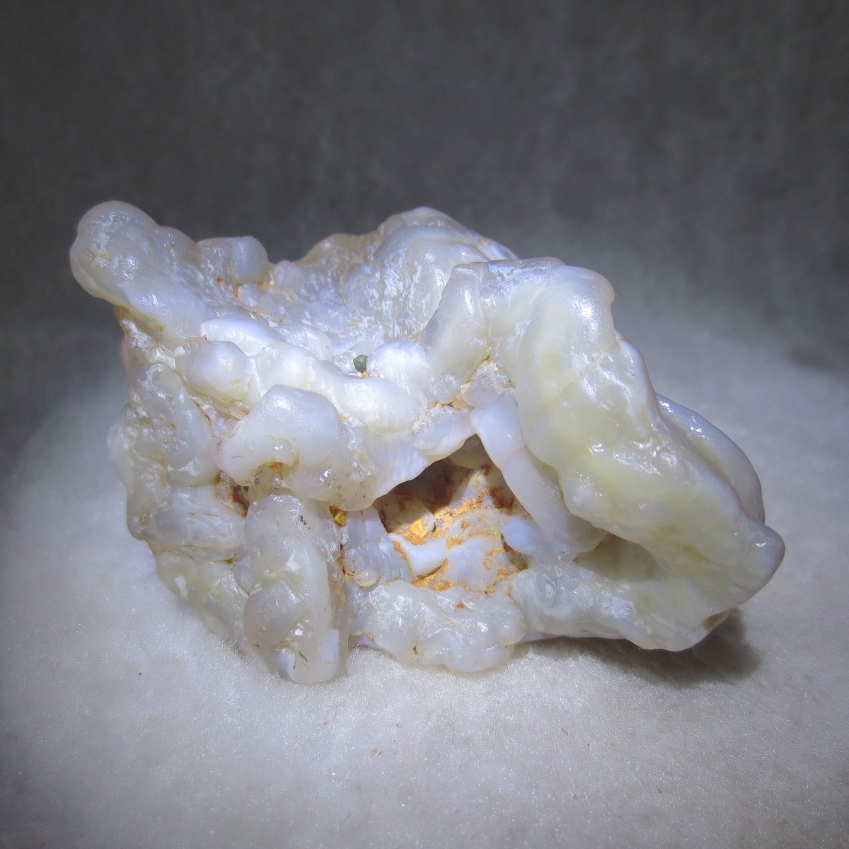 natural flower gobi agate raw desert rock mineral specimen (h23)