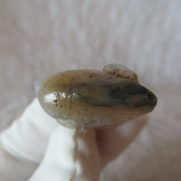 natural thumb eye gobi agate desert raw stone mineral (f46)