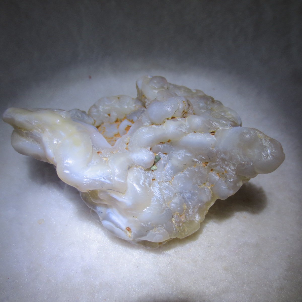 natural flower gobi agate raw desert rock mineral specimen (h23)