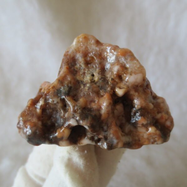 multi color gobi flower agate raw stone natural botryoidal desert agate specimen (k88)