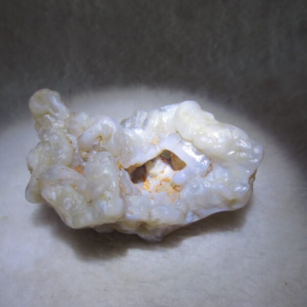 natural flower gobi agate raw desert rock mineral specimen (h23)
