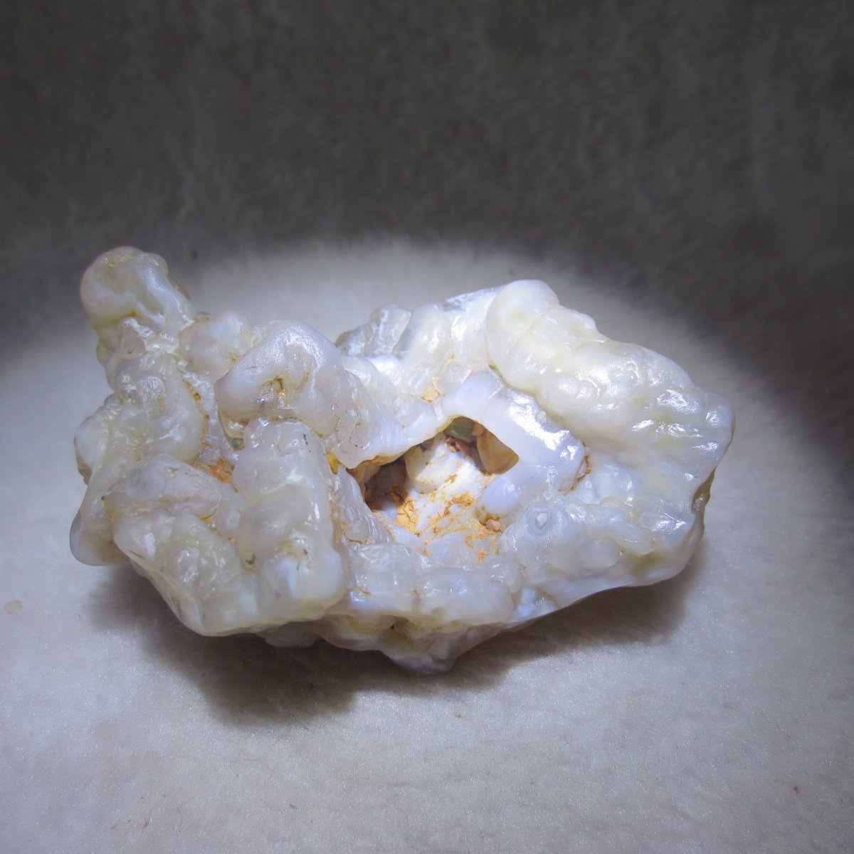 natural flower gobi agate raw desert rock mineral specimen (h23)