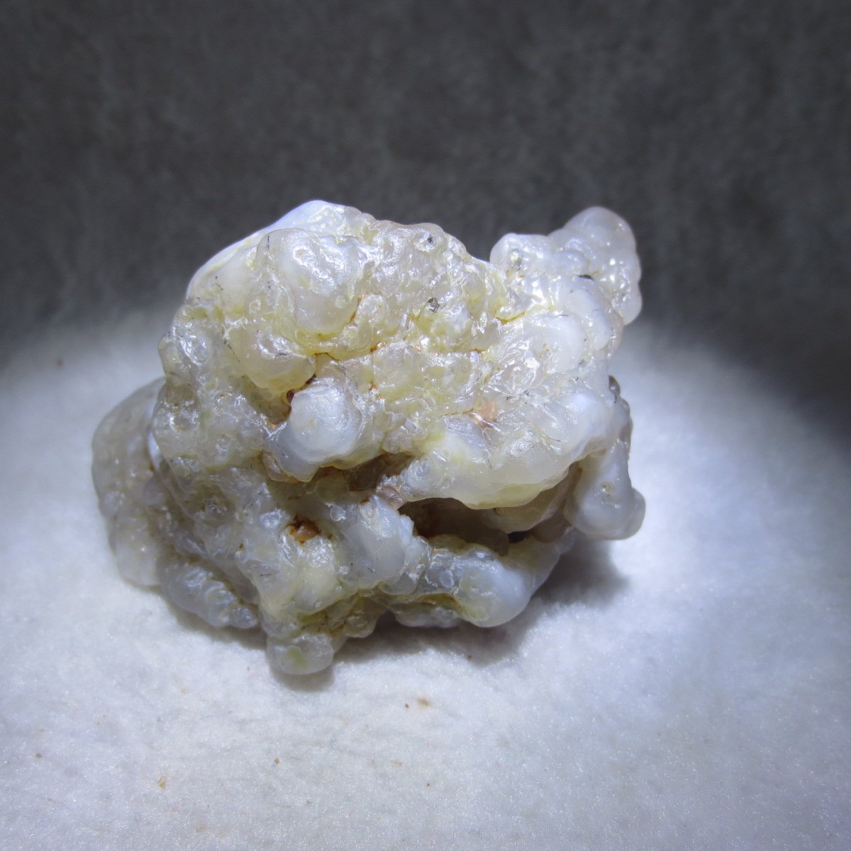 natural flower gobi agate raw desert rock mineral specimen (h23)