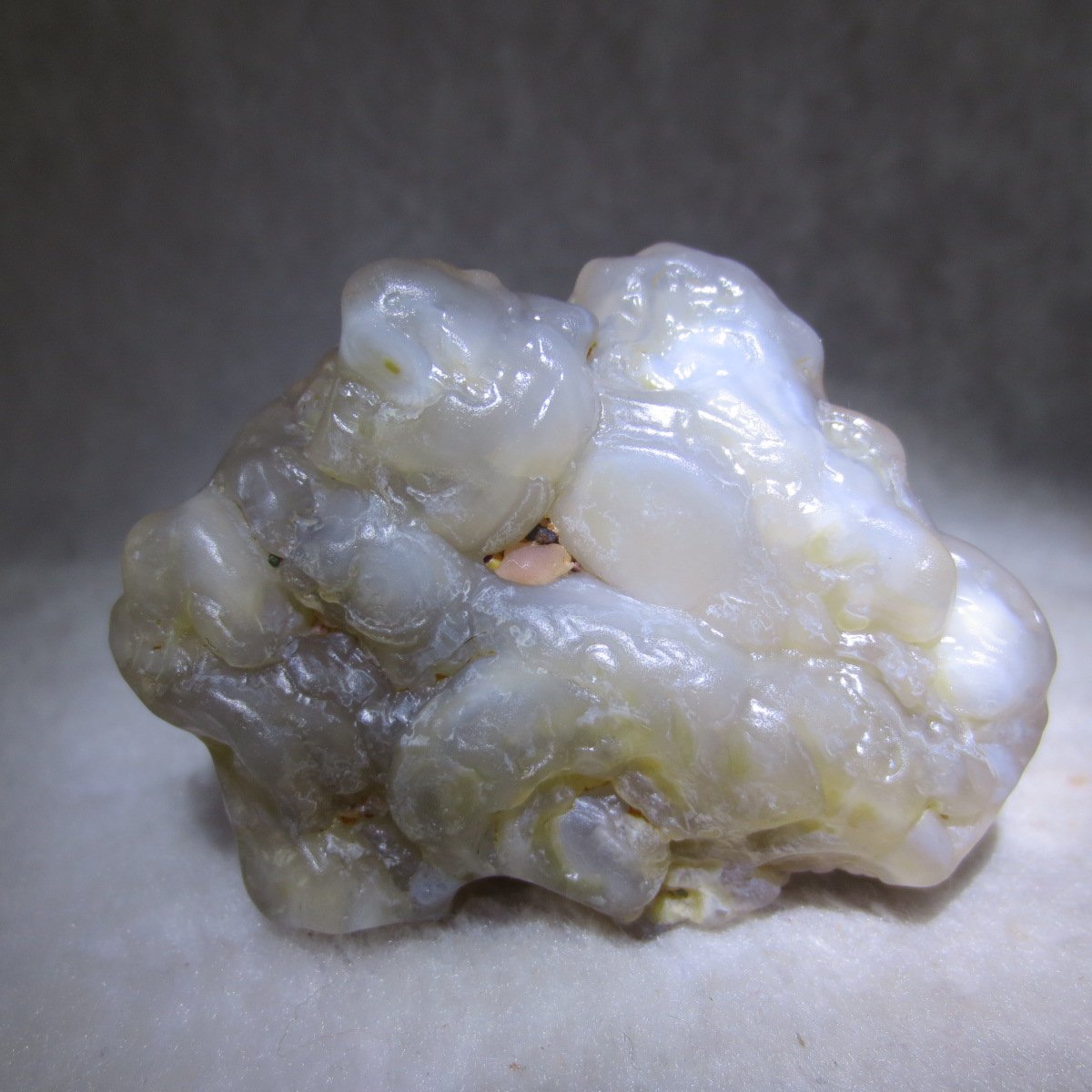 natural flower gobi agate raw desert rock mineral specimen (h24)