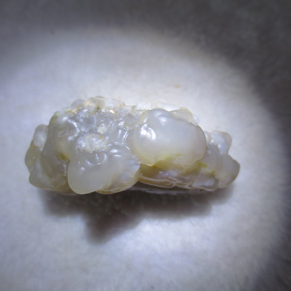 natural flower gobi agate raw desert rock mineral specimen (h24)
