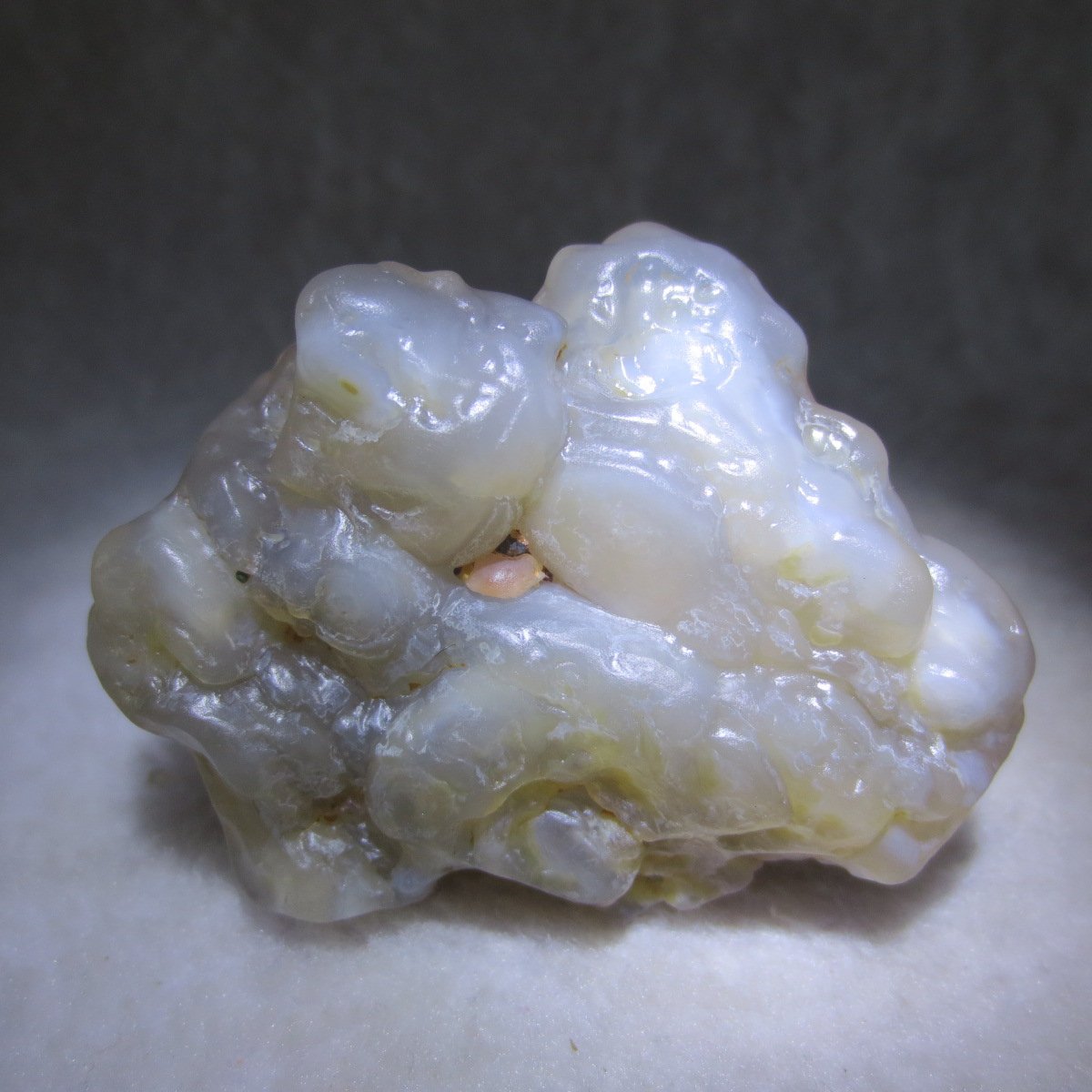 natural flower gobi agate raw desert rock mineral specimen (h24)