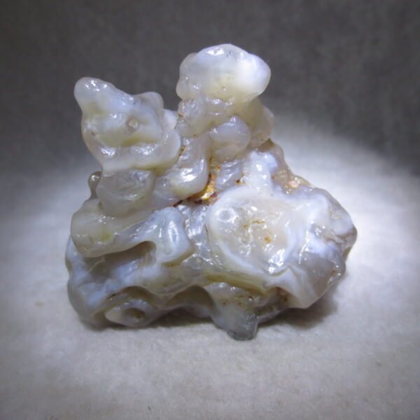 natural flower gobi agate raw desert rock mineral specimen (h25)