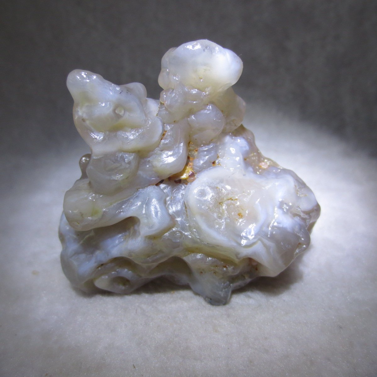 natural flower gobi agate raw desert rock mineral specimen (h25)