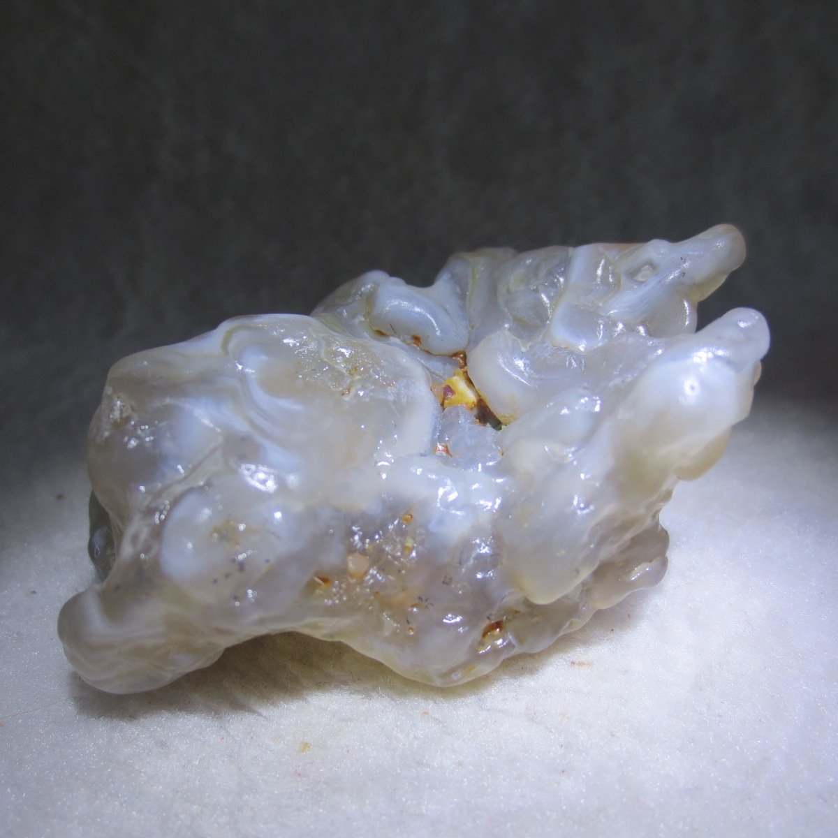 natural flower gobi agate raw desert rock mineral specimen (h25)