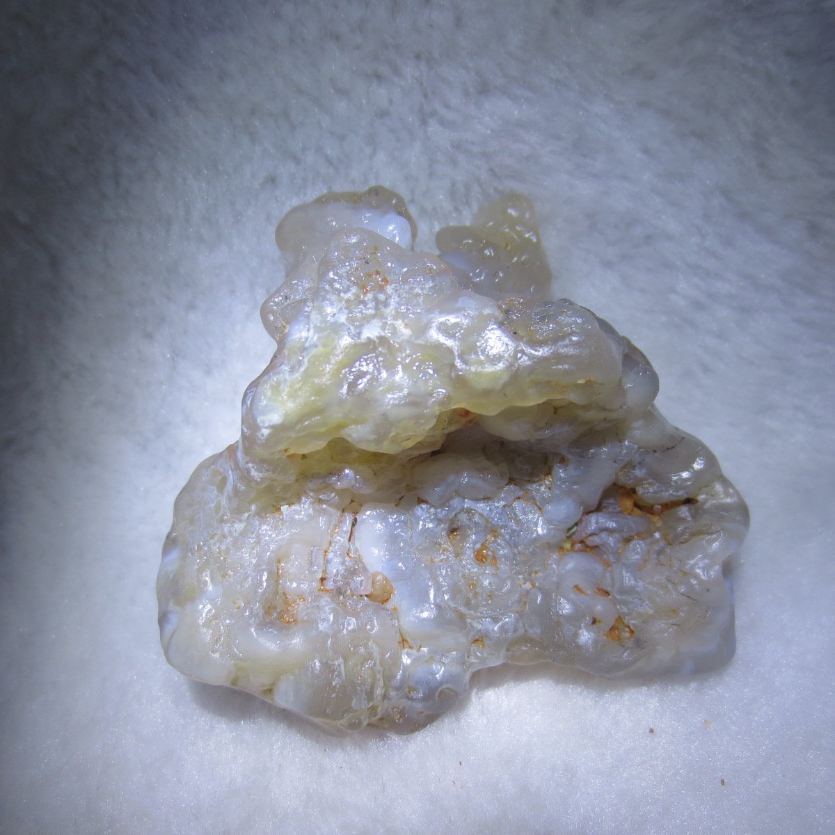 natural flower gobi agate raw desert rock mineral specimen (h25)