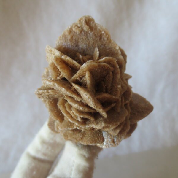 natural desert rose gobi agate raw stone mineral home decor. (i14) (copy)