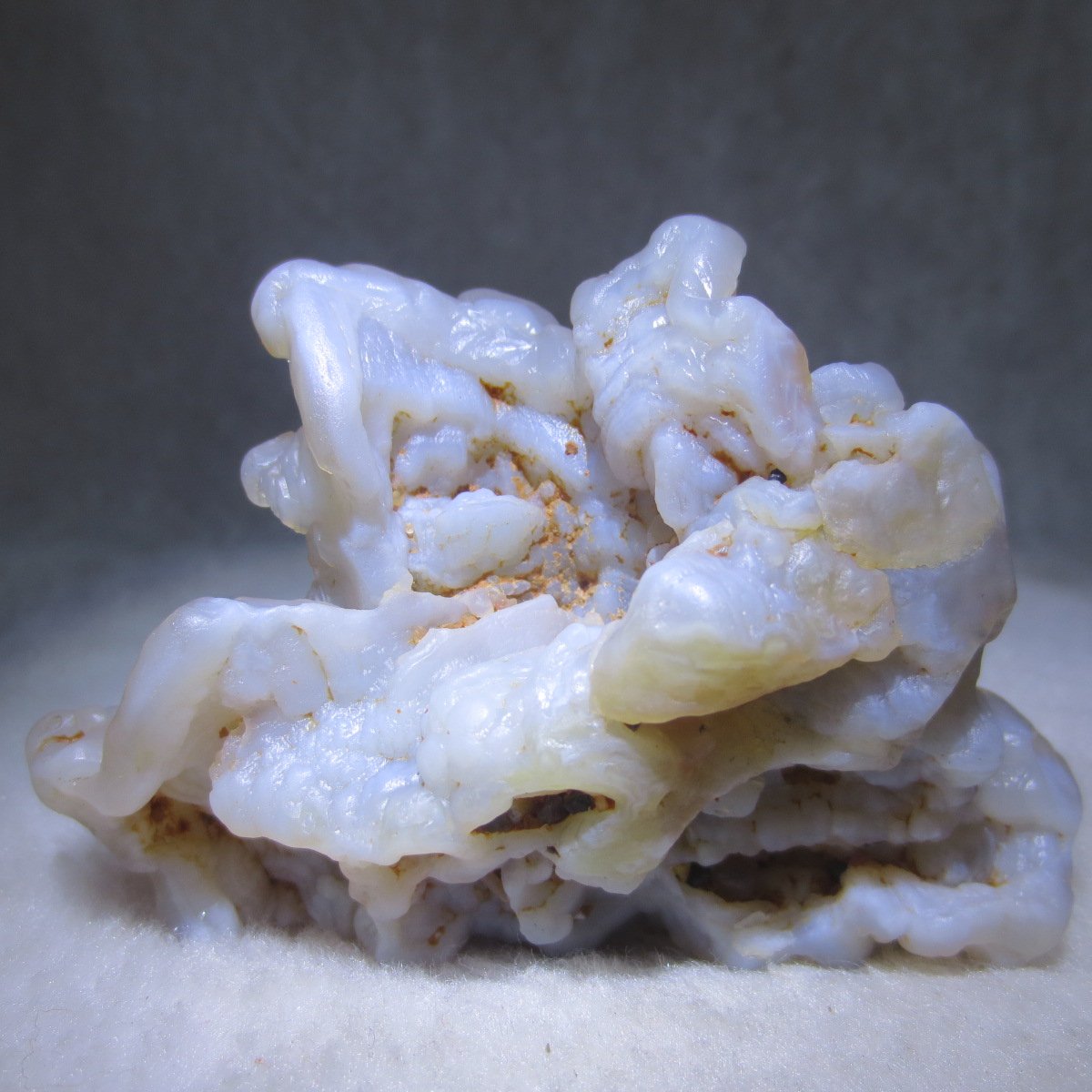 natural flower gobi agate raw desert rock mineral specimen (h26)