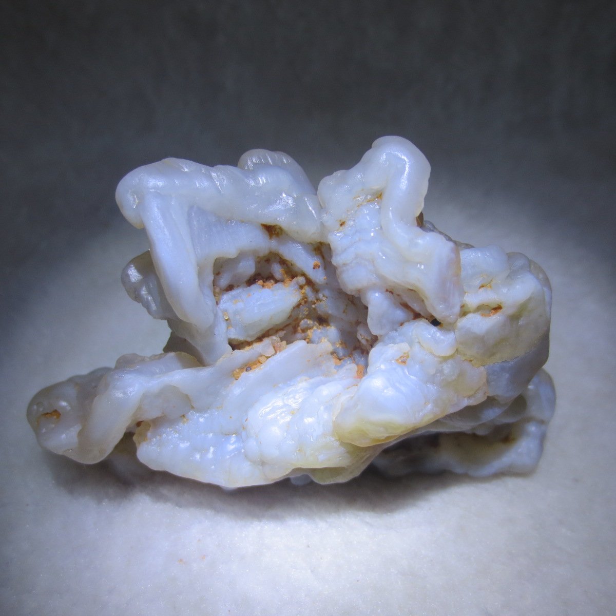 natural flower gobi agate raw desert rock mineral specimen (h26)