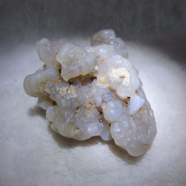 natural flower gobi agate raw desert rock mineral specimen (h26)