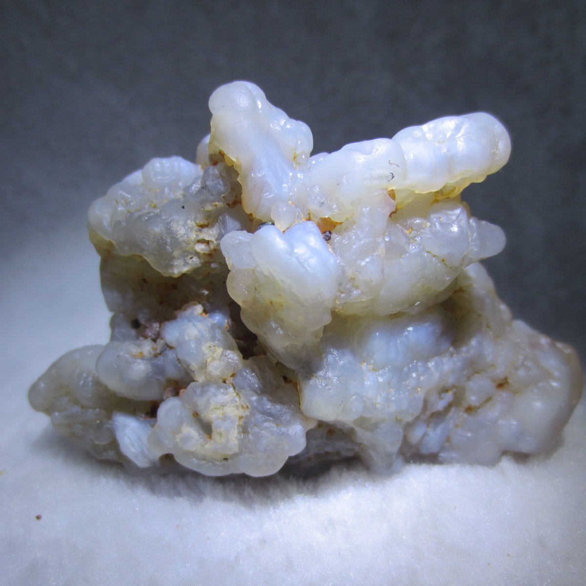 natural flower gobi agate raw desert rock mineral specimen (h26)
