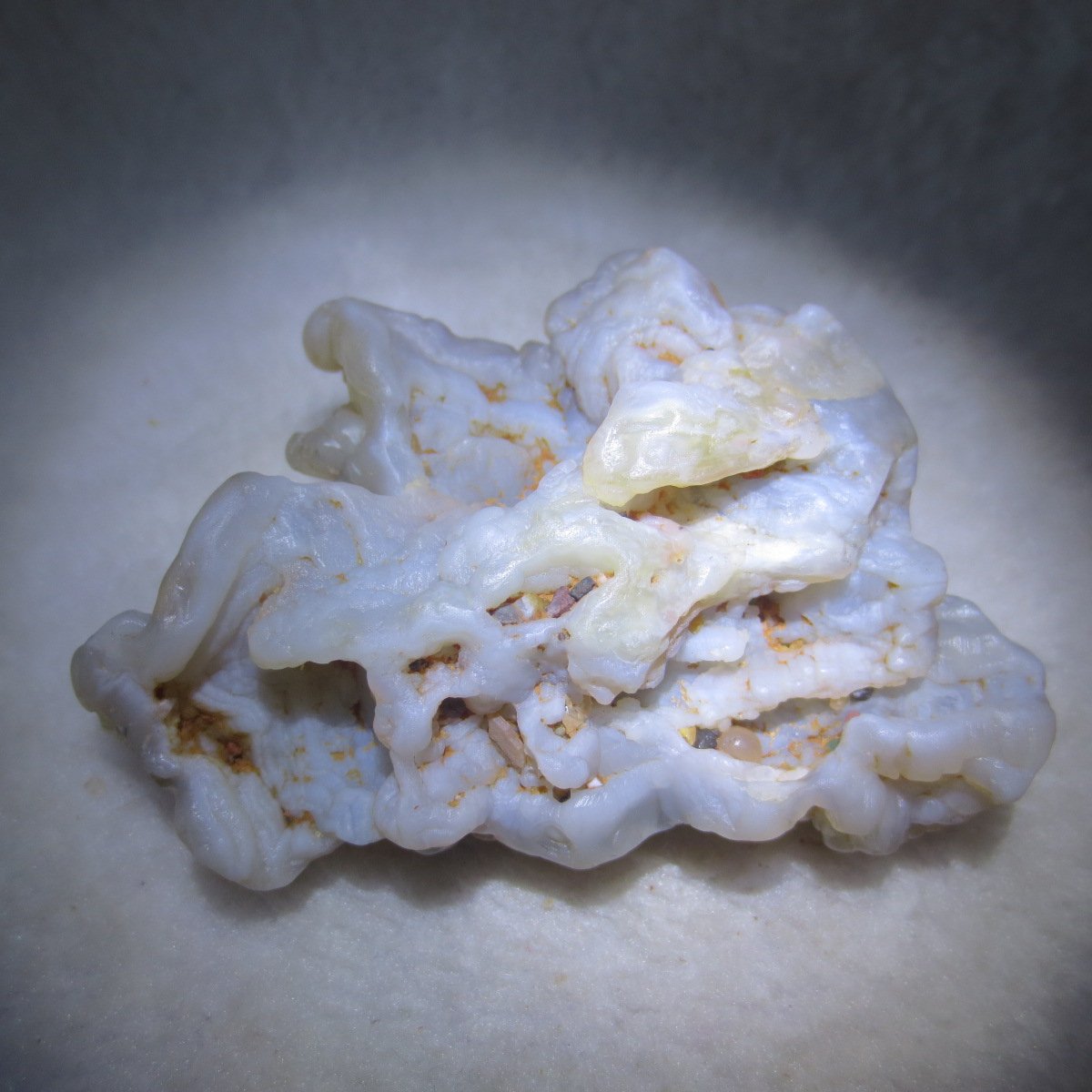 natural flower gobi agate raw desert rock mineral specimen (h26)