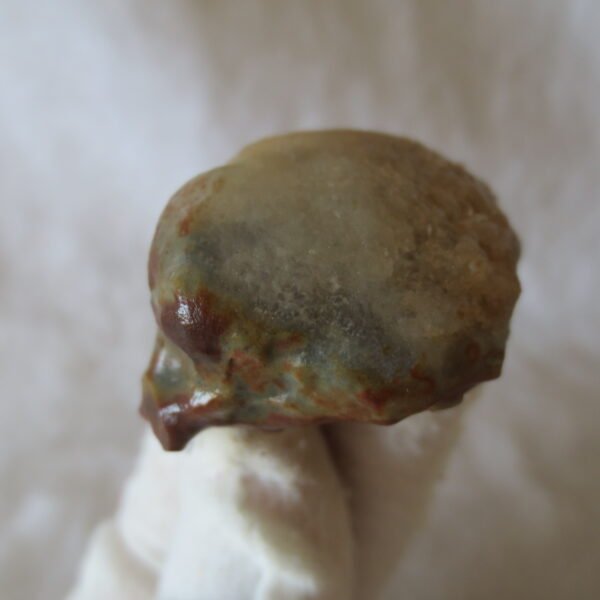 multi color gobi flower agate raw stone natural botryoidal desert agate specimen (k89) (copy)