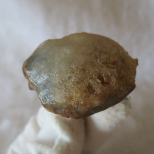 multi color gobi flower agate raw stone natural botryoidal desert agate specimen (k89) (copy)
