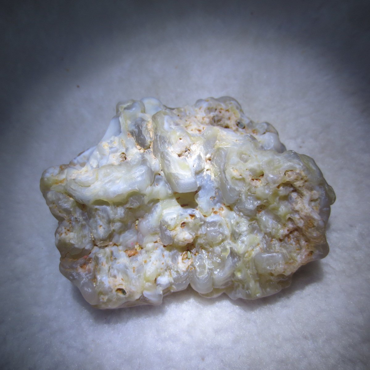 natural flower gobi agate raw desert rock mineral specimen (h27)