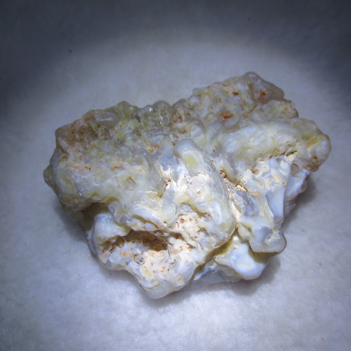 natural flower gobi agate raw desert rock mineral specimen (h27)