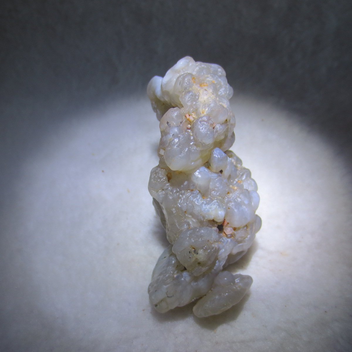 natural flower gobi agate raw desert rock mineral specimen (h28)