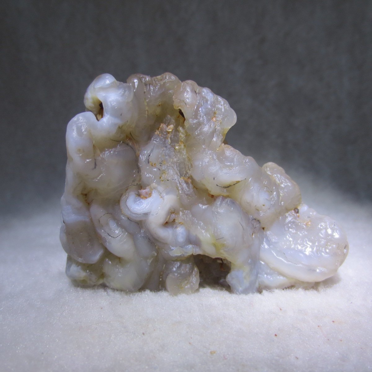 natural flower gobi agate raw desert rock mineral specimen (h28)