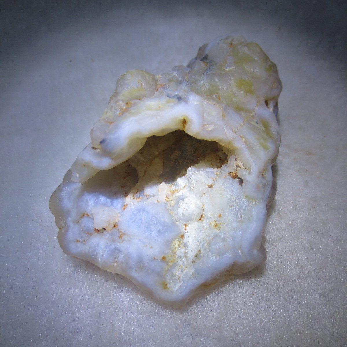 natural flower gobi agate raw desert rock mineral specimen (h29)