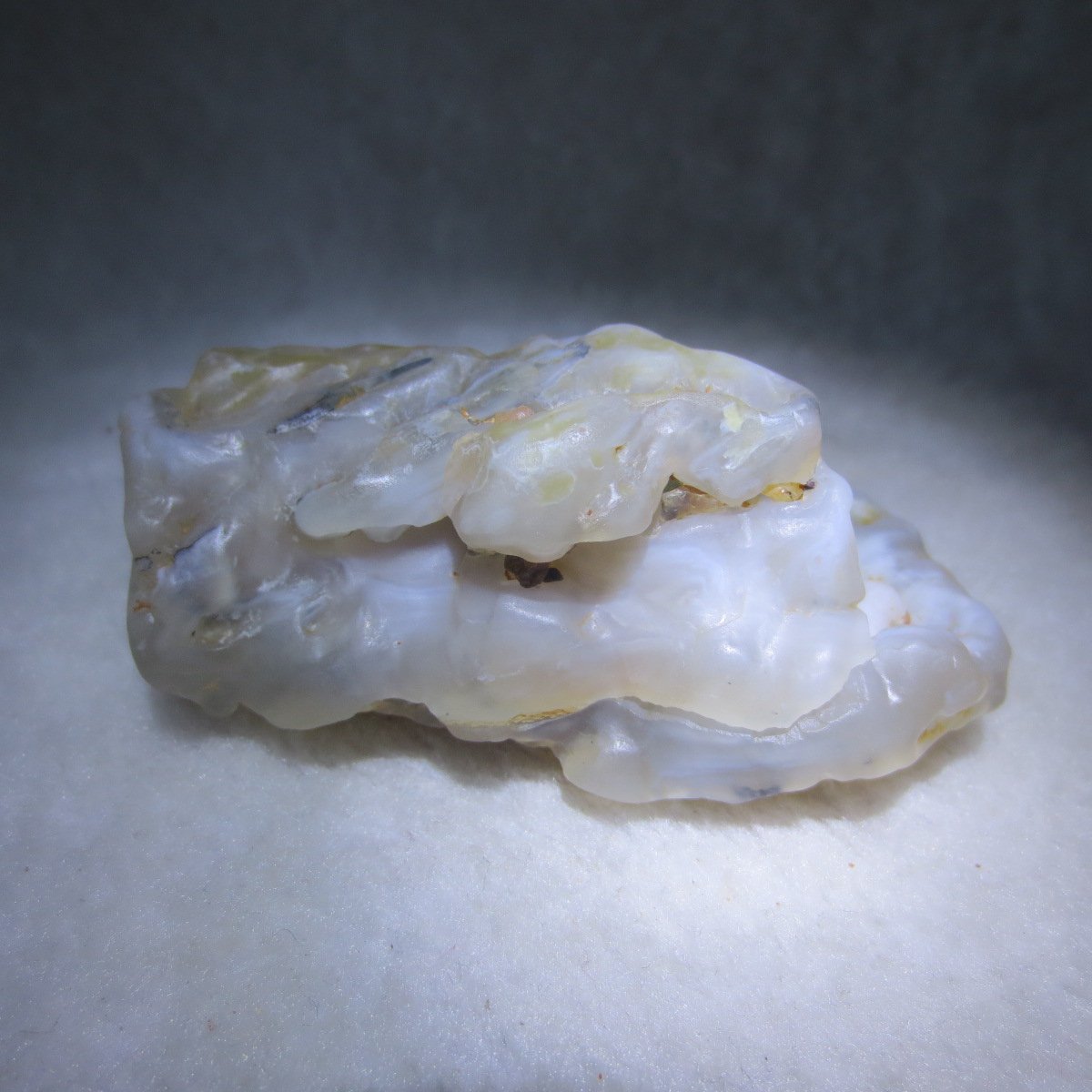 natural flower gobi agate raw desert rock mineral specimen (h29)