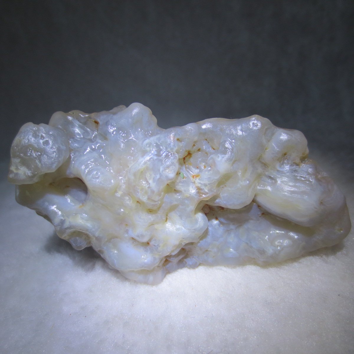 natural flower gobi agate raw desert rock mineral specimen (h30)