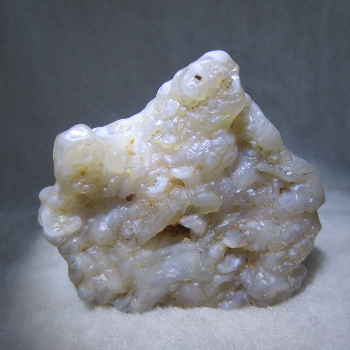 natural flower gobi agate raw desert rock mineral specimen (h31)