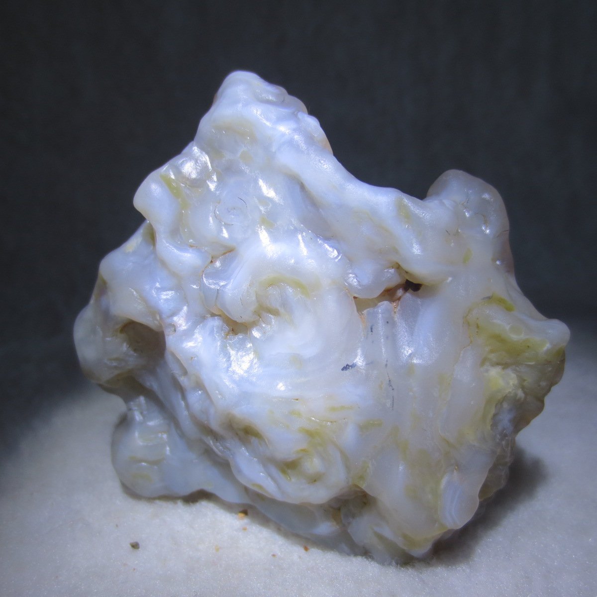 natural flower gobi agate raw desert rock mineral specimen (h31)