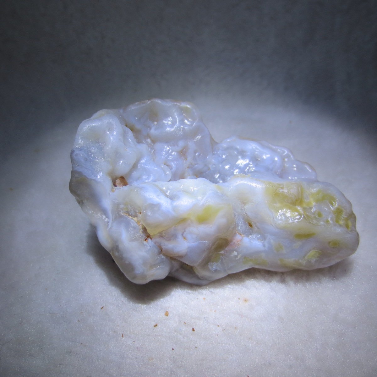 natural flower gobi agate raw desert rock mineral specimen (h33)
