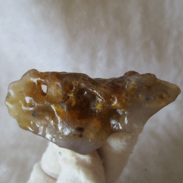 multi color gobi flower agate raw stone natural botryoidal desert agate specimen (k95)