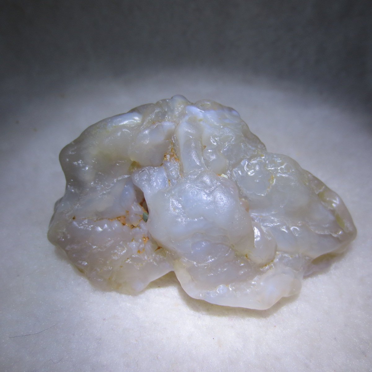 natural flower gobi agate raw desert rock mineral specimen (h33)