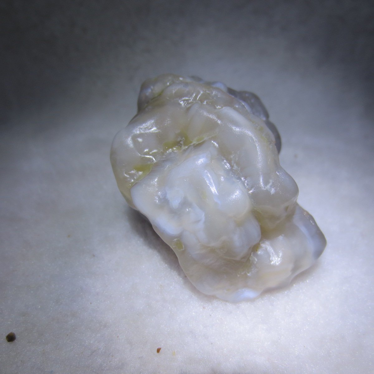 natural flower gobi agate raw desert rock mineral specimen (h33)