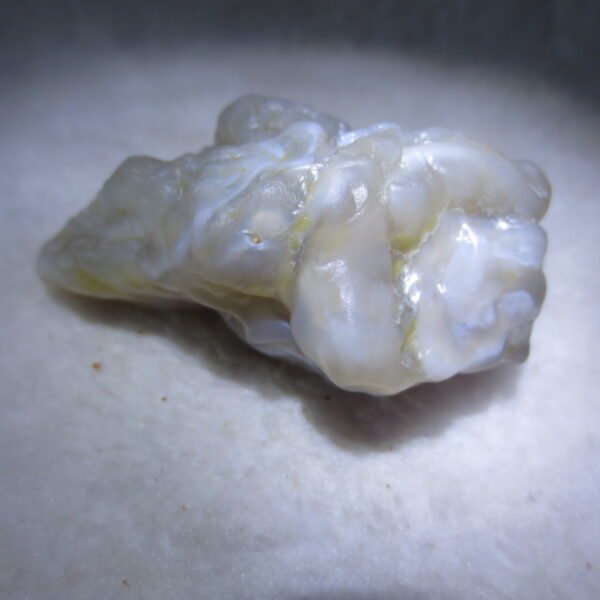 natural flower gobi agate raw desert rock mineral specimen (h33)