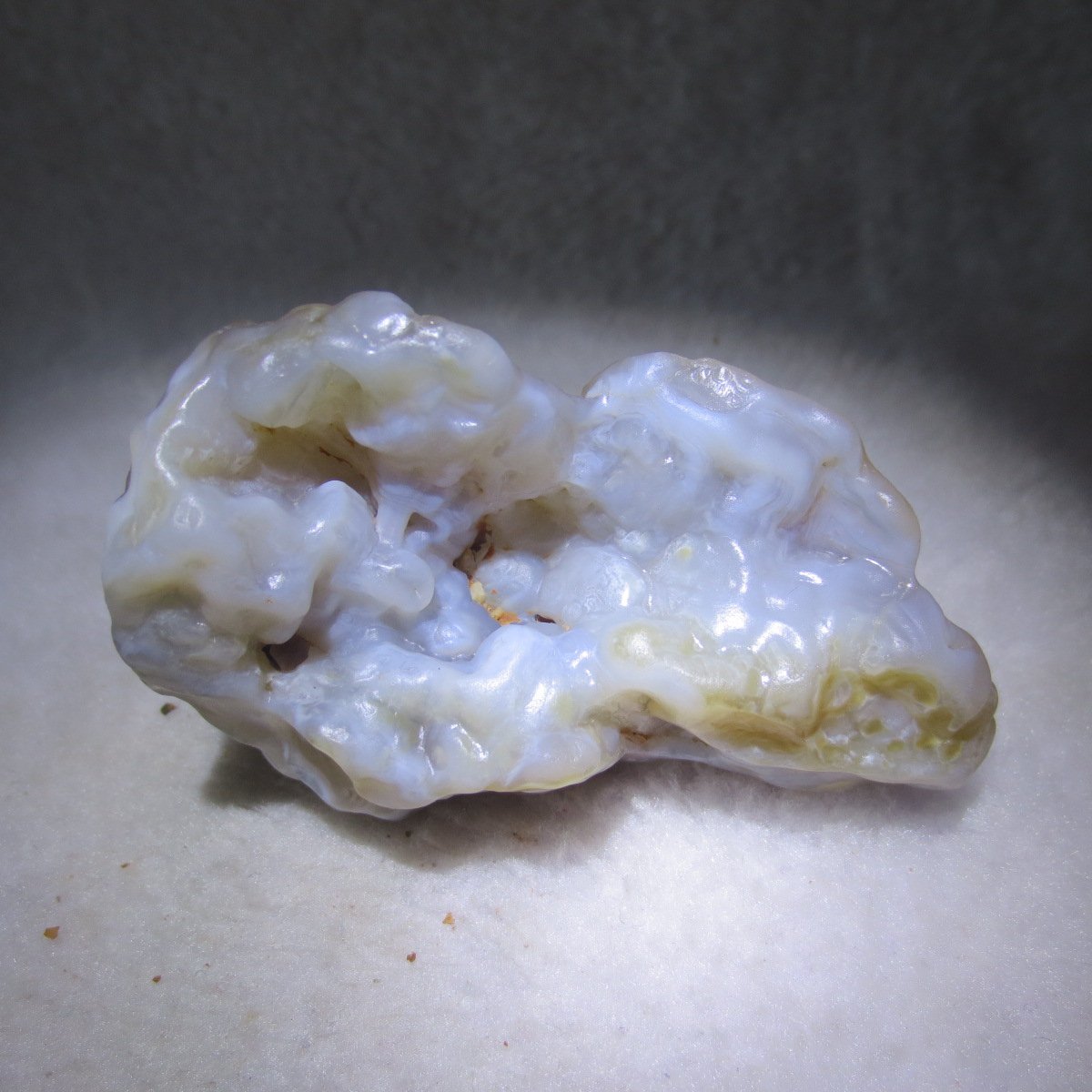 natural flower gobi agate raw desert rock mineral specimen (h33)
