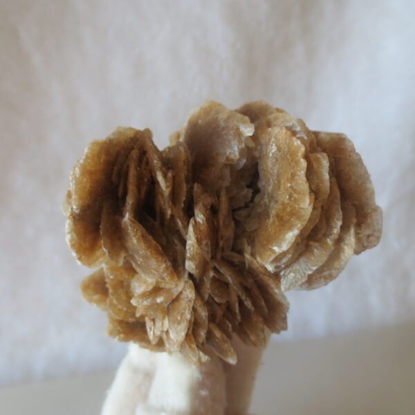 natural desert rose gobi agate raw stone mineral home decor. (i17） (copy)