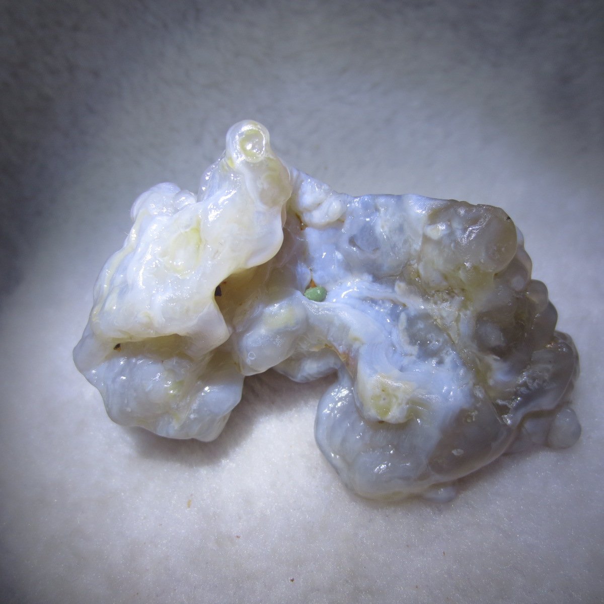 natural flower gobi agate raw desert rock mineral specimen (h34)