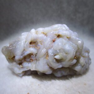 natural flower gobi agate raw desert rock mineral specimen (h35)