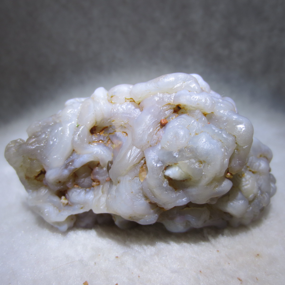 natural flower gobi agate raw desert rock mineral specimen (h35)