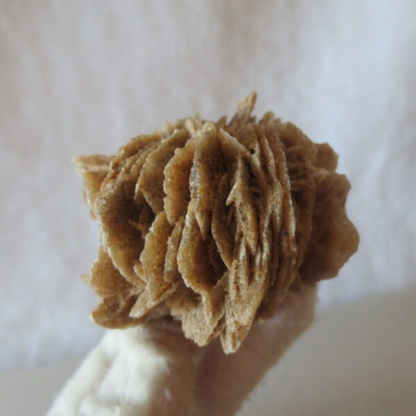 natural desert rose gobi agate raw stone mineral home decor. (i19）