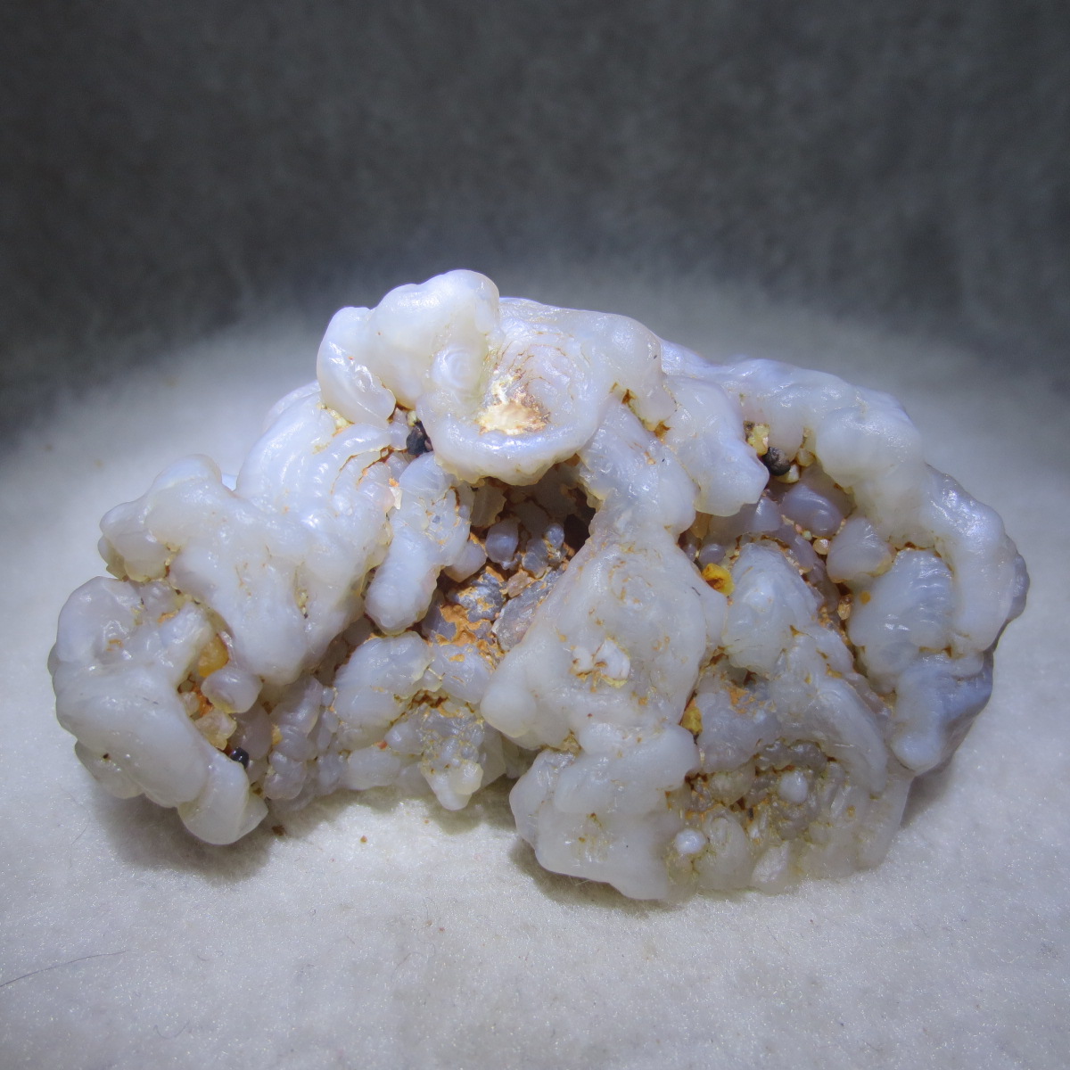 natural flower gobi agate raw desert rock mineral specimen (h35)