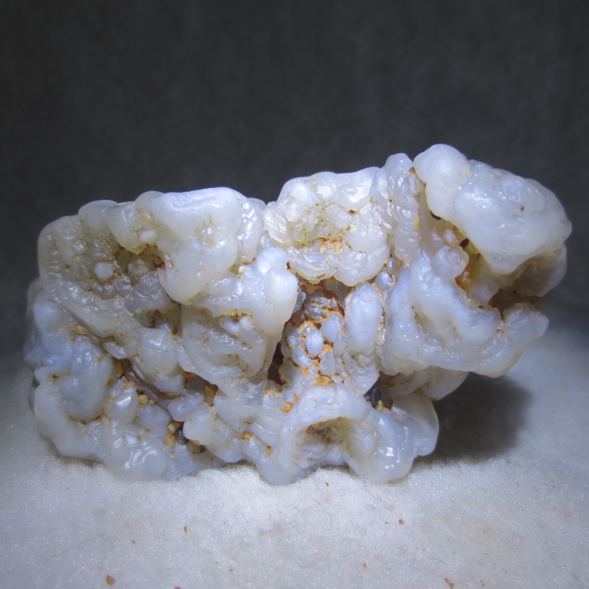 natural flower gobi agate raw desert rock mineral specimen (h35)